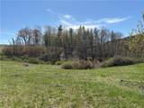  County Road 46 Lower Ravine Road - Photo 3