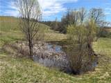  County Road 46 Lower Ravine Road - Photo 4