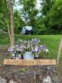 3764 Italy Hill Road - Photo 1