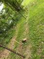 3764 Italy Hill Road - Photo 14