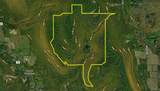 7667 Hickory Bottom Road - Photo 44