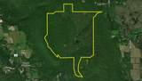 7667 Hickory Bottom Road - Photo 45