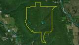 7667 Hickory Bottom Road - Photo 46