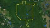 7667 Hickory Bottom Road - Photo 47