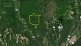 7667 Hickory Bottom Road - Photo 48