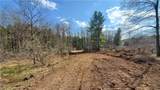 Lot 15 Nelson Road - Photo 8