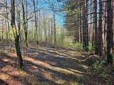 3587 Gillies Hill  Rd Lot 7 - Photo 11