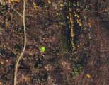 3587 Gillies Hill  Rd Lot 7 - Photo 13