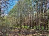 3587 Gillies Hill  Rd Lot 7 - Photo 5
