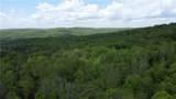  Snake Creek Road - Photo 2