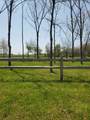  Lot 10 Roosevelt Highway - Photo 3