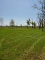  Lot 10 Roosevelt Highway - Photo 4