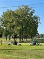  Lot 10 Roosevelt Highway - Photo 5