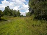 1454 Crane Lane - Photo 17