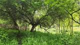  Oatka Creek Road - Photo 11