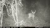 Route 31 & Hogback W - Photo 8