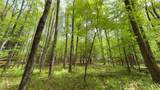 Lot 6.2 Launt Hollow Road - Photo 22