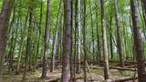 Lot 6.2 Launt Hollow Road - Photo 23