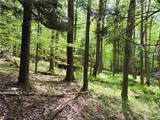 Lot 6.2 Launt Hollow Road - Photo 34