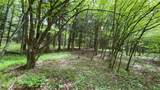 Lot 6.2 Launt Hollow Road - Photo 37