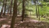 Lot 6.2 Launt Hollow Road - Photo 38