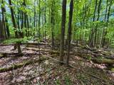 Lot 6.2 Launt Hollow Road - Photo 39