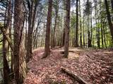  Oak Hill Road - Photo 19