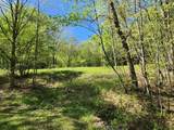 2564 Moore Hill Road - Photo 11