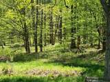 2564 Moore Hill Road - Photo 16