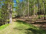 2564 Moore Hill Road - Photo 9
