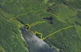 46446 Butterfield Camp Road - Photo 43