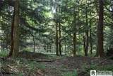  Foe Road - Photo 14