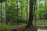  Foe Road - Photo 37