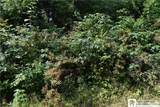  Foe Road - Photo 9