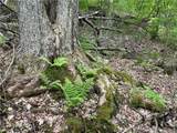  Woodland Hills Road - Photo 10