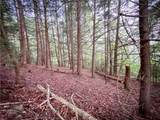  Williams Road - Photo 7