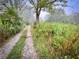  Williams Road - Photo 8