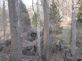  Pinegrove Avenue - Photo 10