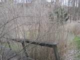  Pinegrove Avenue - Photo 8