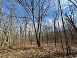 0 Belle Cornell/State Route 414 Drive - Photo 2