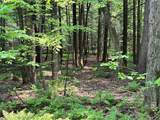  Spring Road - Photo 7