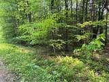  Spring Road - Photo 8