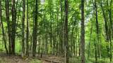 8306 Pardee Hollow Road - Photo 12