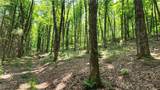 8306 Pardee Hollow Road - Photo 14