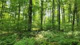 8306 Pardee Hollow Road - Photo 16