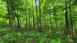 8306 Pardee Hollow Road - Photo 23