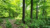 8306 Pardee Hollow Road - Photo 24