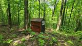 8306 Pardee Hollow Road - Photo 25