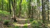 8306 Pardee Hollow Road - Photo 3