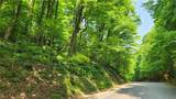 8306 Pardee Hollow Road - Photo 36